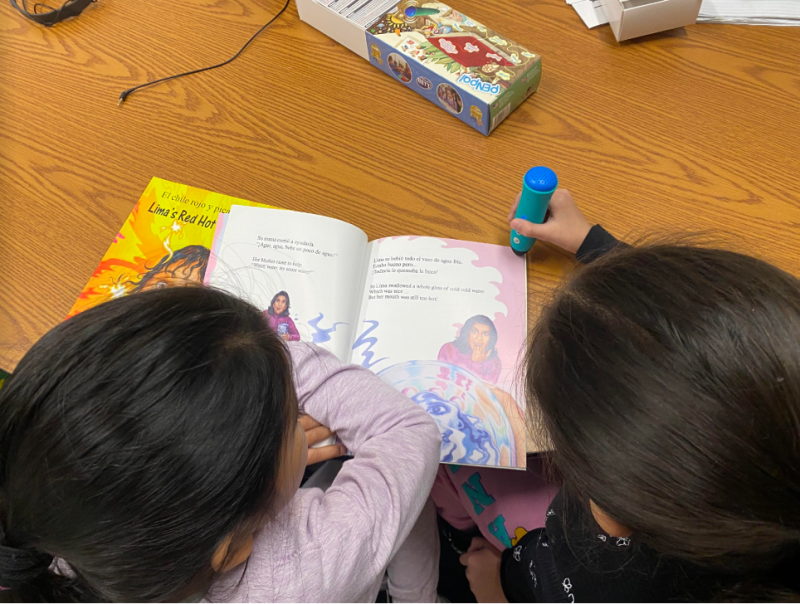 Home-to-School Literacy Project: Increasing family literacy with bilingual resources